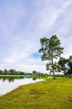 su birikintisi bahar