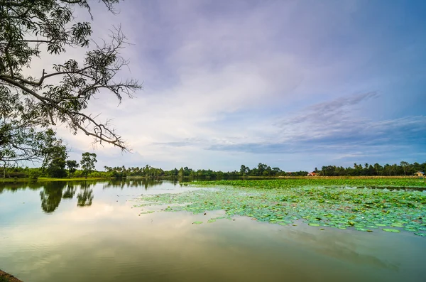 Stagno in primavera — Foto Stock