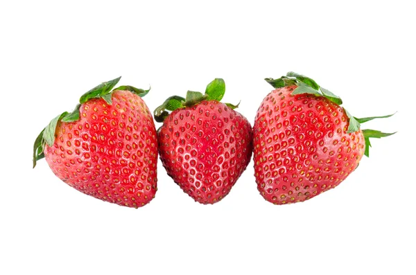 Bio-Erdbeeren — Stockfoto