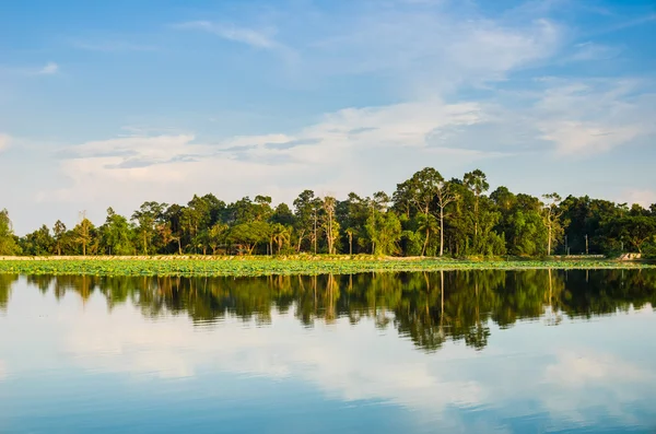 Vijver in het voorjaar van — Stockfoto