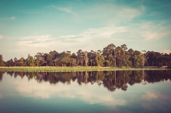 Stagno in primavera annata — Foto Stock