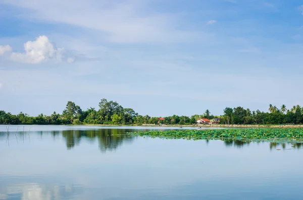 Vijver in het voorjaar van — Stockfoto