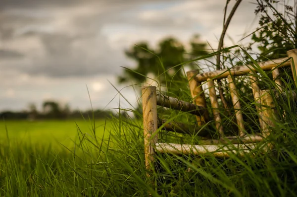 Bamboo wooden chairs on grass — Stock Photo, Image