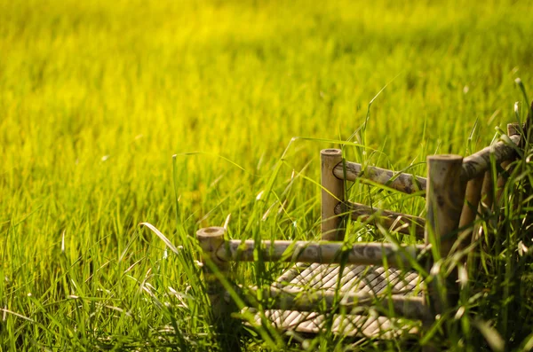Cadeiras de madeira de bambu na grama — Fotografia de Stock
