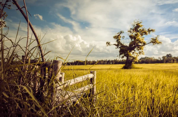 Bamboe houten stoelen op gras vintage — Stockfoto