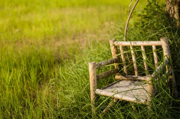 Bamboo wooden chairs on grass — Stock Photo, Image