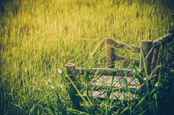 Bambus Holzstühle auf Gras vintage — Stockfoto