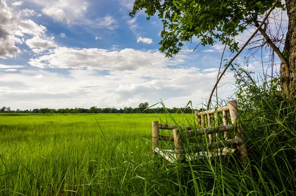 Bambu trä stolar på gräs — Stockfoto