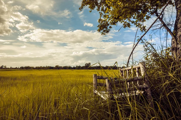 Bamboe houten stoelen op gras vintage — Stockfoto