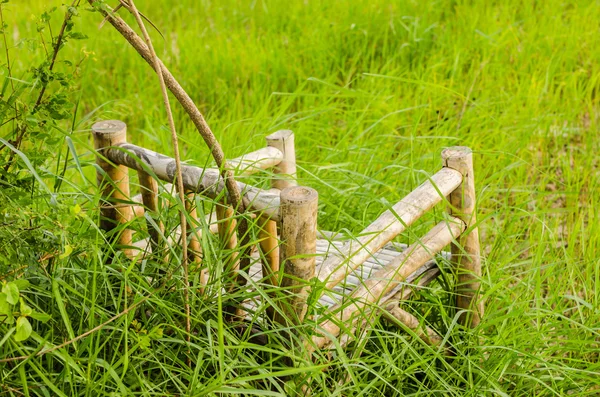 Bambusz fű fa szék — Stock Fotó