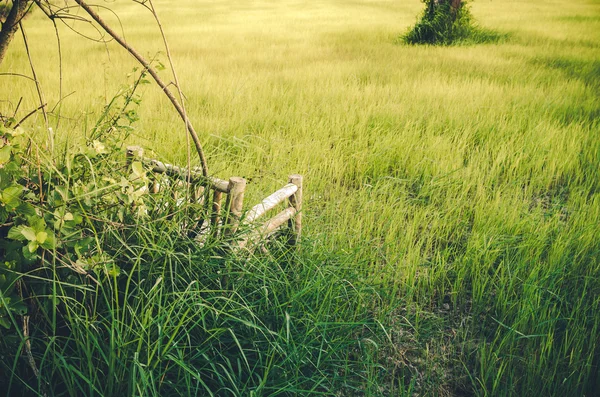 Bamboo wooden chairs on grass vintage — Stock Photo, Image