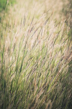 Küçük çiçek vintage