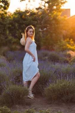 Beyaz Elbiseli Kız ve Lavanta Çiçekler Arasında Saman Şapkalı Kız. Sundress 'li Dikey Fotoğrafçı Kadın ve Lavanta Çayırı' nda Akşam Yürüyüşü. Lavanta Tarlasında Altın Saat