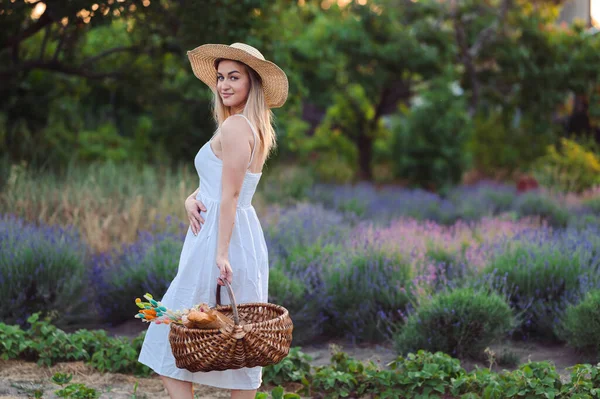 Young Woman in White Dress and Hat Stands Among Lavender and Strawberries. Summer Evening in Village. Enjoy Life on Vacation.