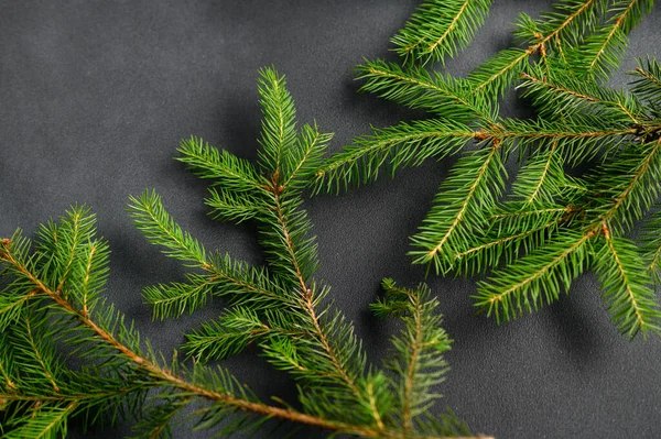 Élő Karácsonyfa Ágak Feküdnek Szürke Texturált Háttér Kilátás Fentről Karácsony — Stock Fotó