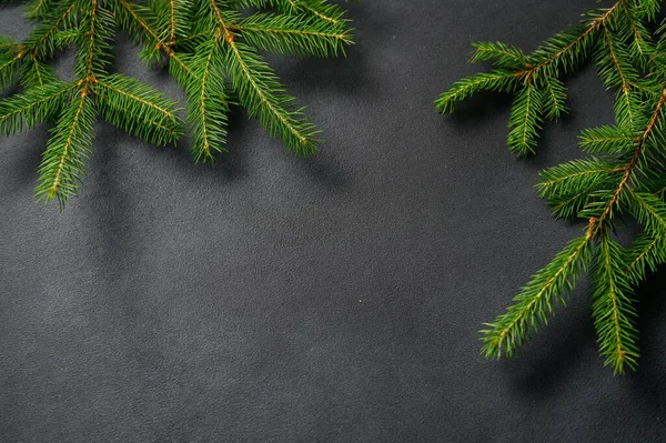 Yatay Gri arka plan, kenarlara yayılmış Live Spruce şubeleri var. Noel teması. Kapak ve Kartpostallar için Resim