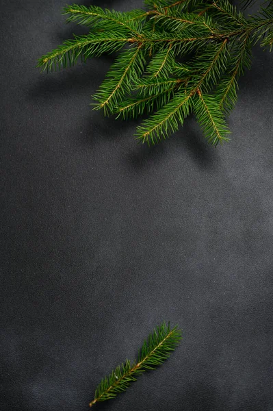 Pionowe Ciemne Tło Żywymi Gałęziami Temat Świąteczny Zdjęcie Okładkę Pocztówki — Zdjęcie stockowe