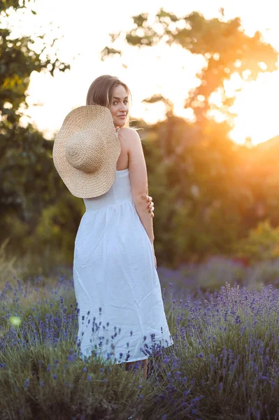 Young Tender Woman Stands With Her Back In A White Dress And Hat Among Lavender. Young Woman Looks From Back to Camera at Nature. Beautiful Color and Scent of Lavender on Summer Evening.