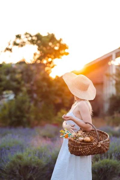 Woman in Hat, Sundress and Basket in her Hands Looks Towards Orange Sun. Golden Sun is Setting Behind House. Lavender Meadow