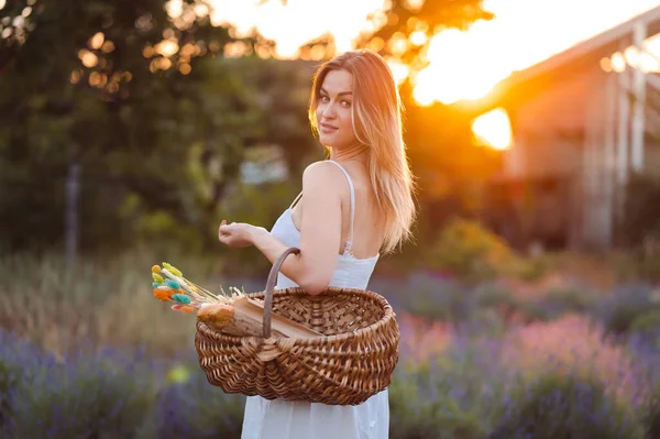 A lovely Caucasian Woman in a white sundress walks in a lavender meadow in the evening at the golden hour. A girl with a basket in her hands walks on a summer evening at sunset