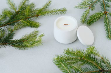 Alçıtaşı saksısında beyaz mum, yakın plan. El yapımı mumlar, minimalizm. Sticker 'a yer var. Işık Masası 'nda Noel Ağacı Dalları. Noel Teması