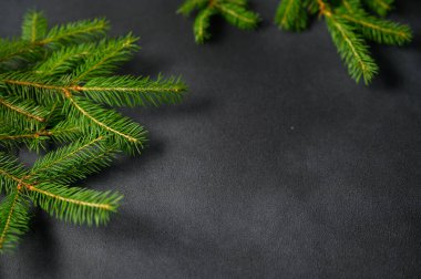 Karanlık beton arka planda Noel ağacı dalları olan bir Noel arkaplanı. Üst görünüm, boşluk kopyala