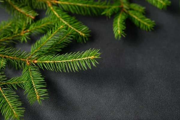 Karácsonyfa Ágak Közelről Sharpness Sötét Fekete Háttér Felülnézet Karácsonyi Koncepció — Stock Fotó