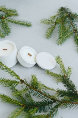 Düz plan. Balmumu mumlarının alçı kaptaki dikey fotoğrafı. Candle 'a yardım et. Firavun Dalları. Yukarıdan görüntüle.