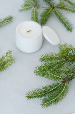 Plaster Pot 'ta Beyaz Mum Etiket İçin Boş Alan. Yan Görünüm. Işık Masası 'ndaki Firavun Dalları. Boşluğu Kopyala.