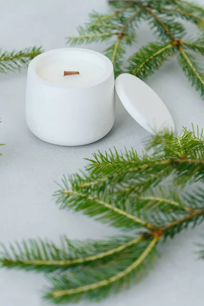 Round Candle in White Gypsum Planter with Lid Front View Among Christmas Tree Branches on Light Background. Place on Label