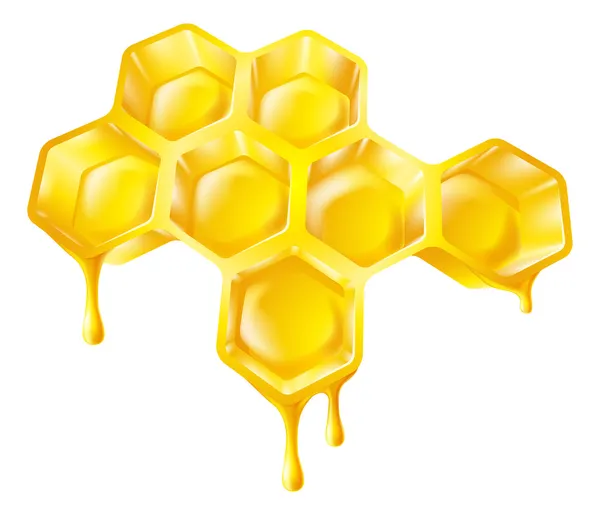 Peine de abeja con miel goteante — Vector de stock