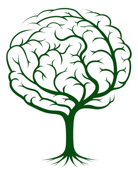 Beyin ağaç çizimi — Stok Vektör