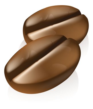 Kahve Fasulyesi Çizimi