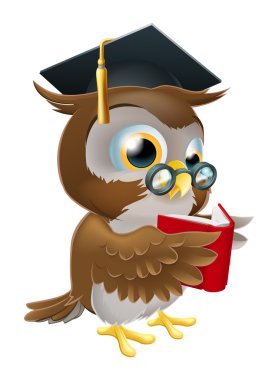 baykuş okuma kitabı