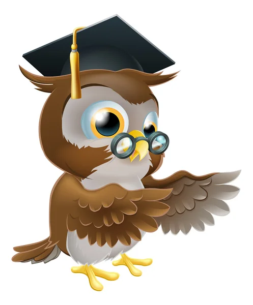 Teacher owl pointing — Stock Vector