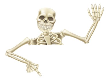 Halloween skeleton pointing clipart