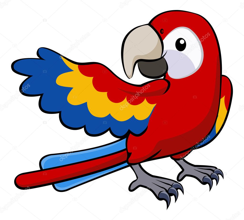 Cartoon parrot Vector Art Stock Images | Depositphotos