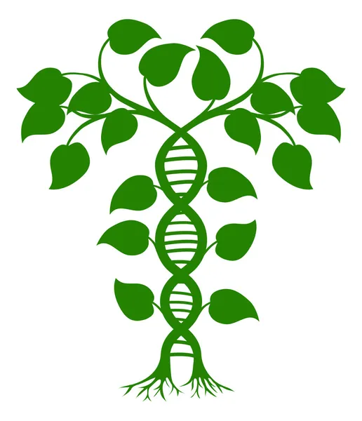 DNA planta natureza — Vetor de Stock