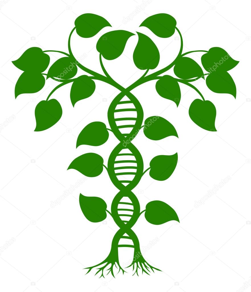 Green tree illustration with the trees or vines forming a DNA double helix