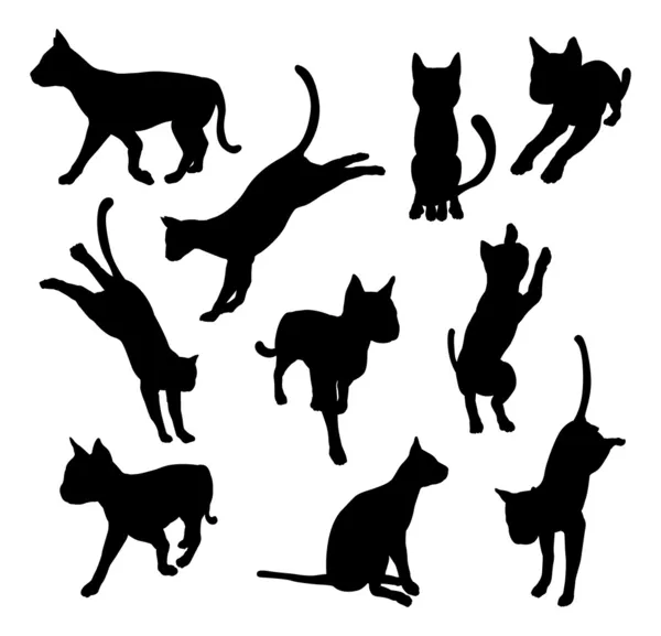 Pet cat silhouettes — Stock Vector