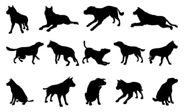 Köpek Siluetleri