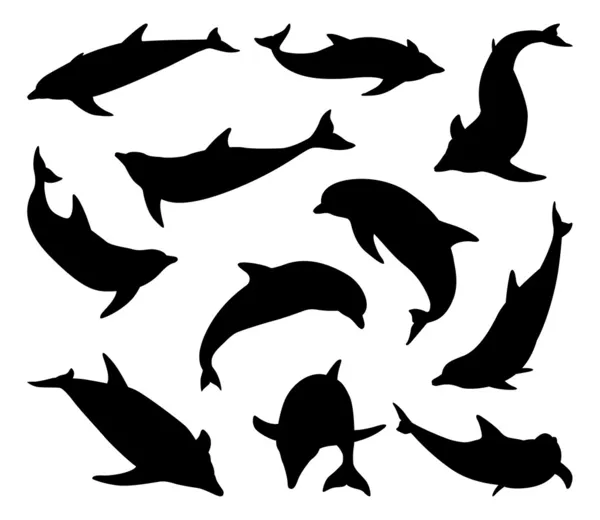 Set silhouette delfino — Vettoriale Stock