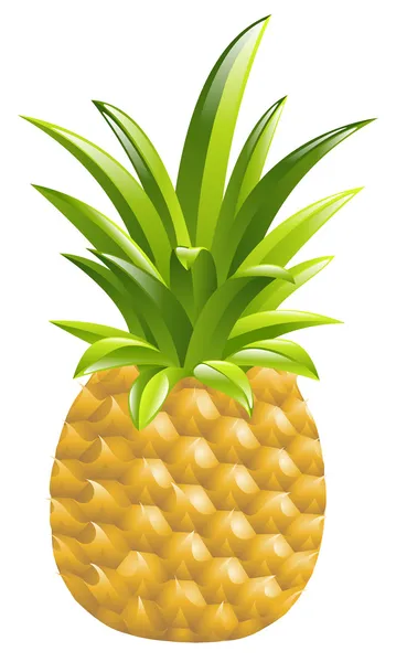 菠萝图标图的插图 — 图库矢量图片