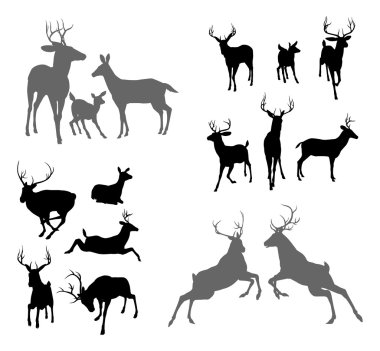 Deer stag fawn and doe silhouettes clipart