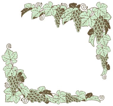 üzüm asma sınır tasarlamak