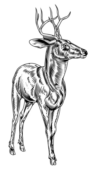 Cerf de cerf de style vintage — Image vectorielle