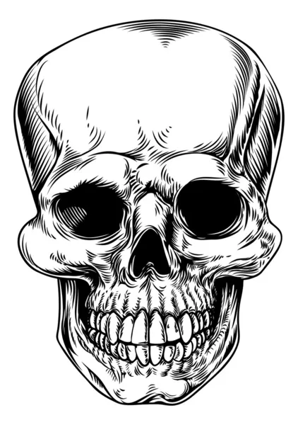 Ilustración de cráneo vintage — Vector de stock