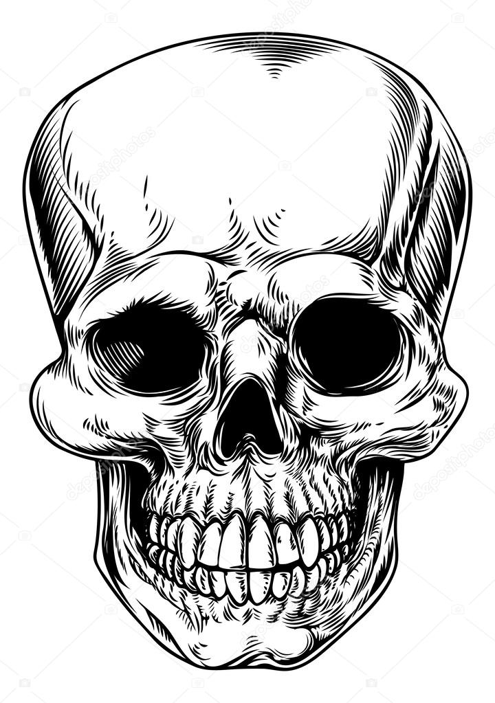 Vintage skull illustration