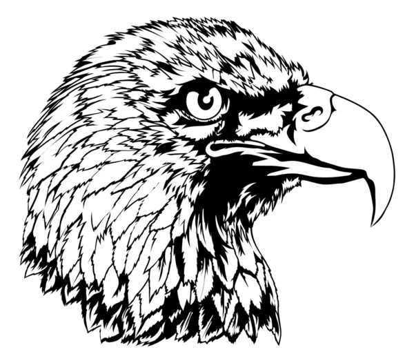 Ilustración de cabeza de águila calva — Vector de stock