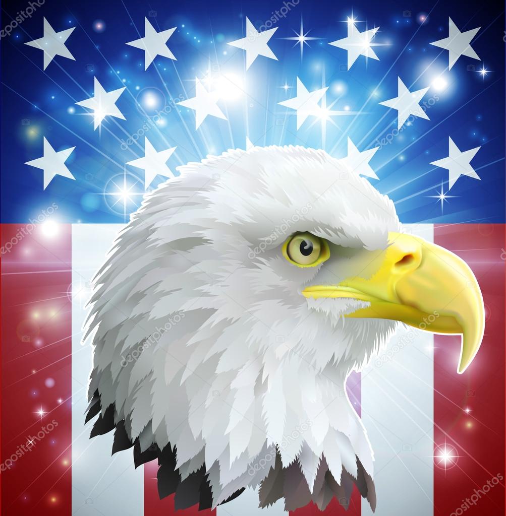 America eagle flag concept